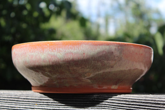 Sizzlin' Southwest Bowl